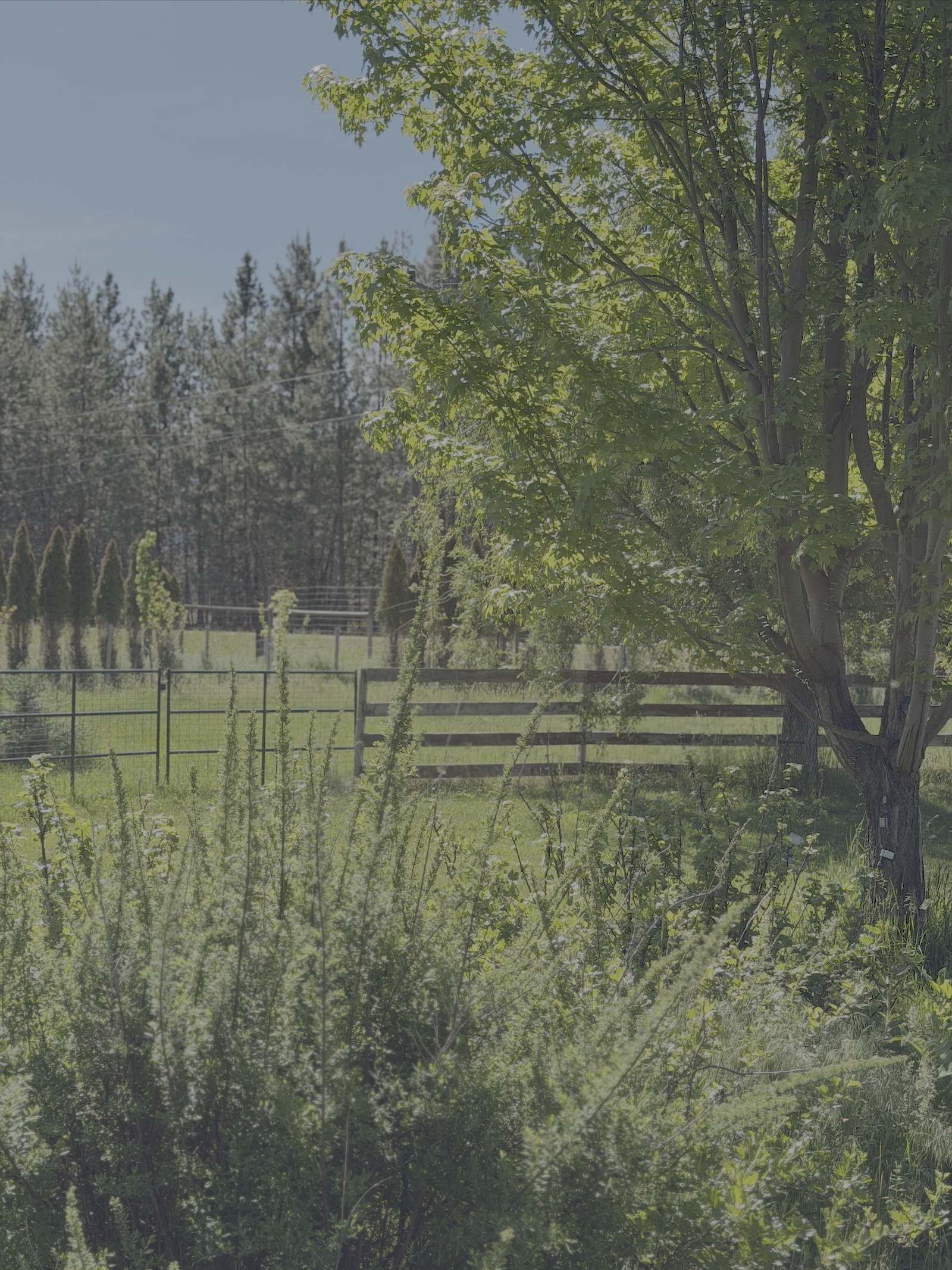 Sinclair Farms, Grand Forks BC