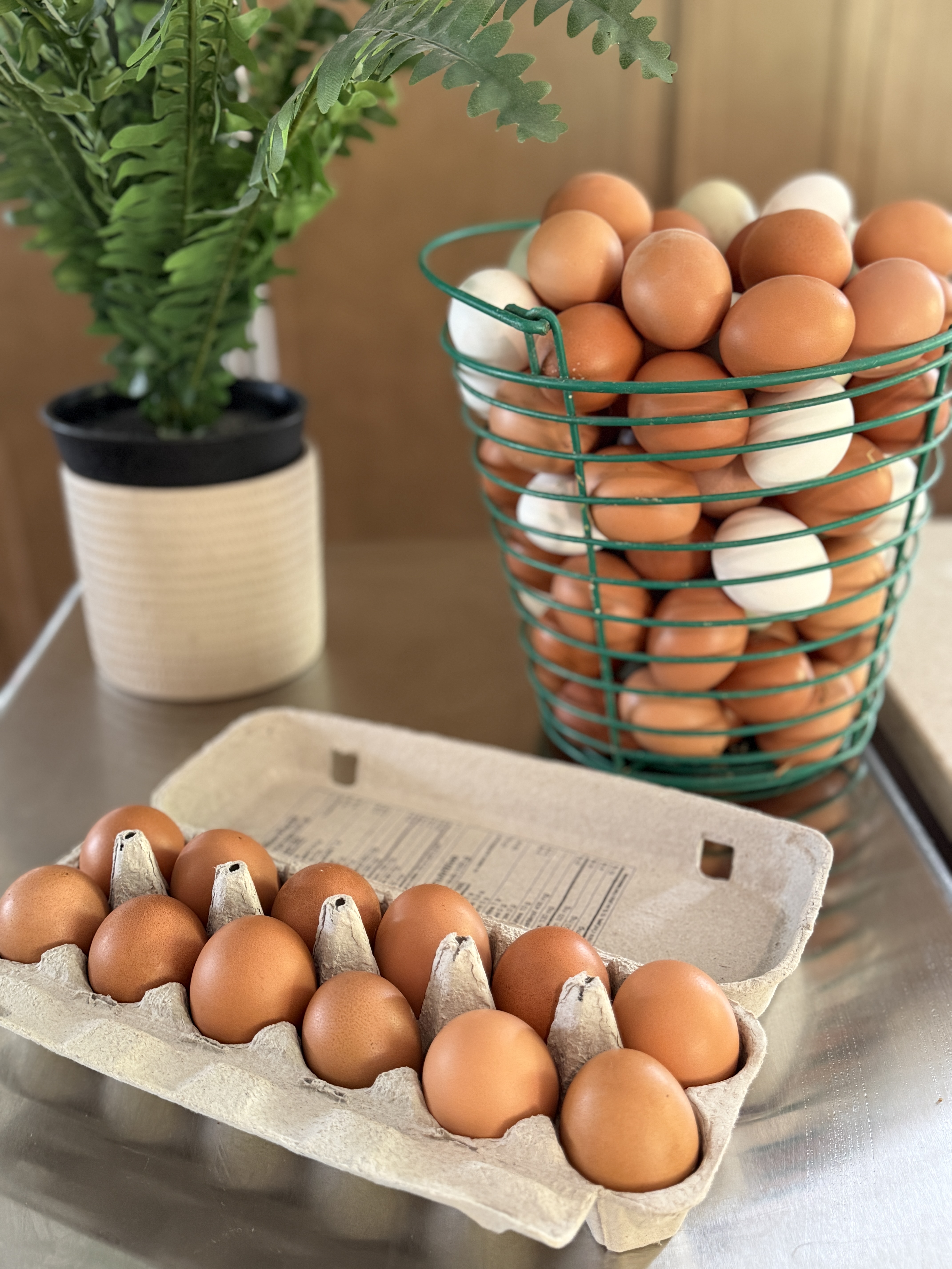 Farm Fresh Eggs